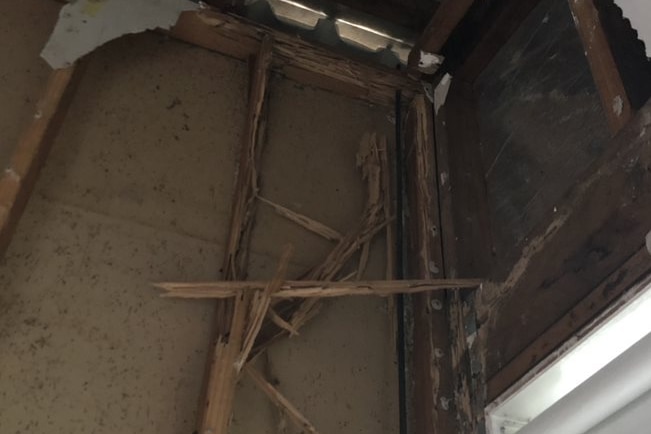 Vigas de madera de una casa astillada por el daño de las termitas