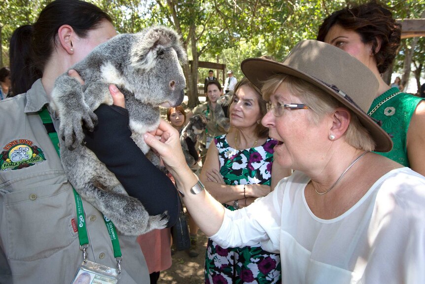 Madam Geertrui Van Rompuy with a koala at the Lone Pine Koala Sanctuary