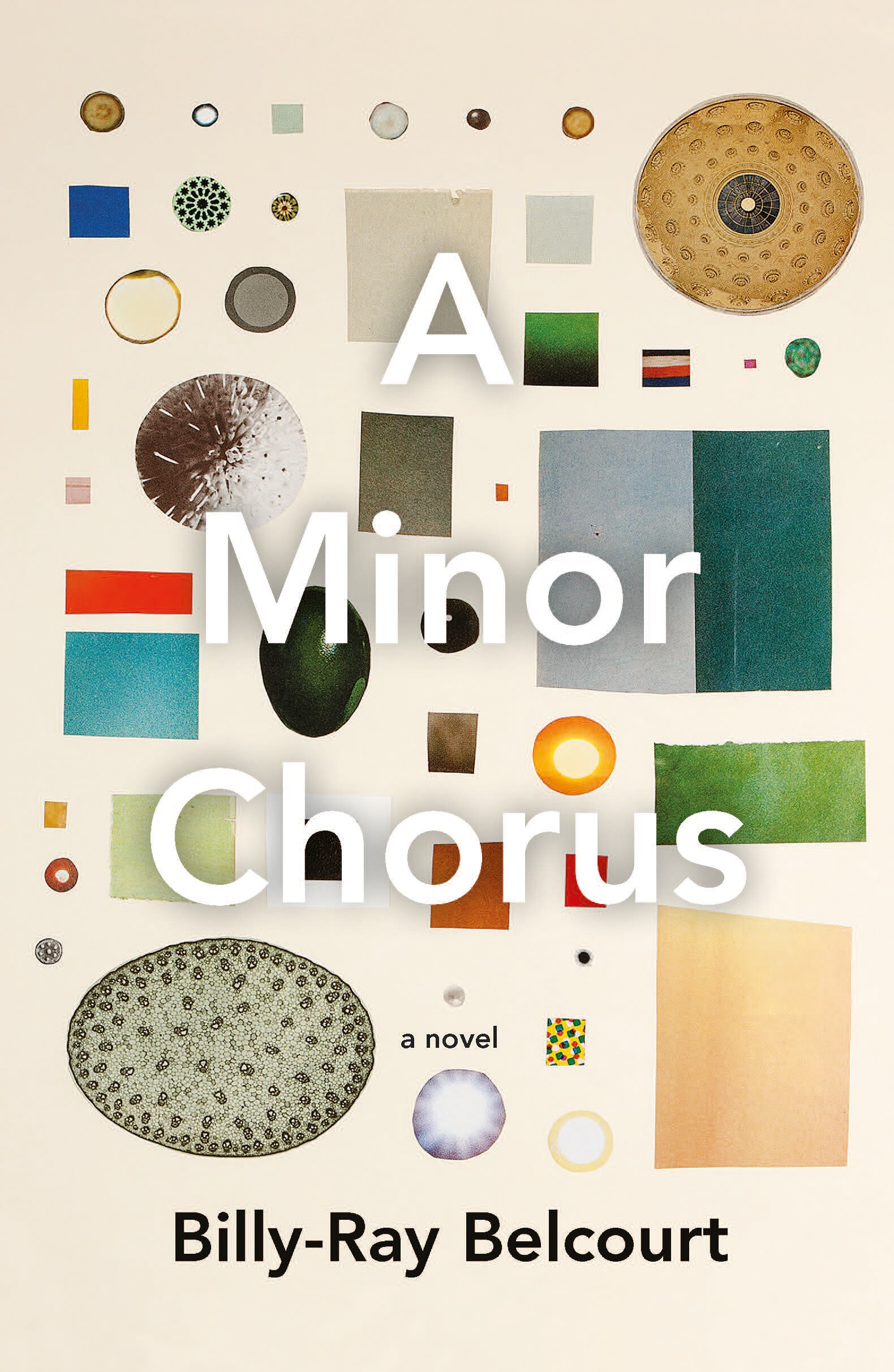 The book cover of A Minor Chorus by Billy-Ray Belcourt, a cream background and a collection of objects and swatches
