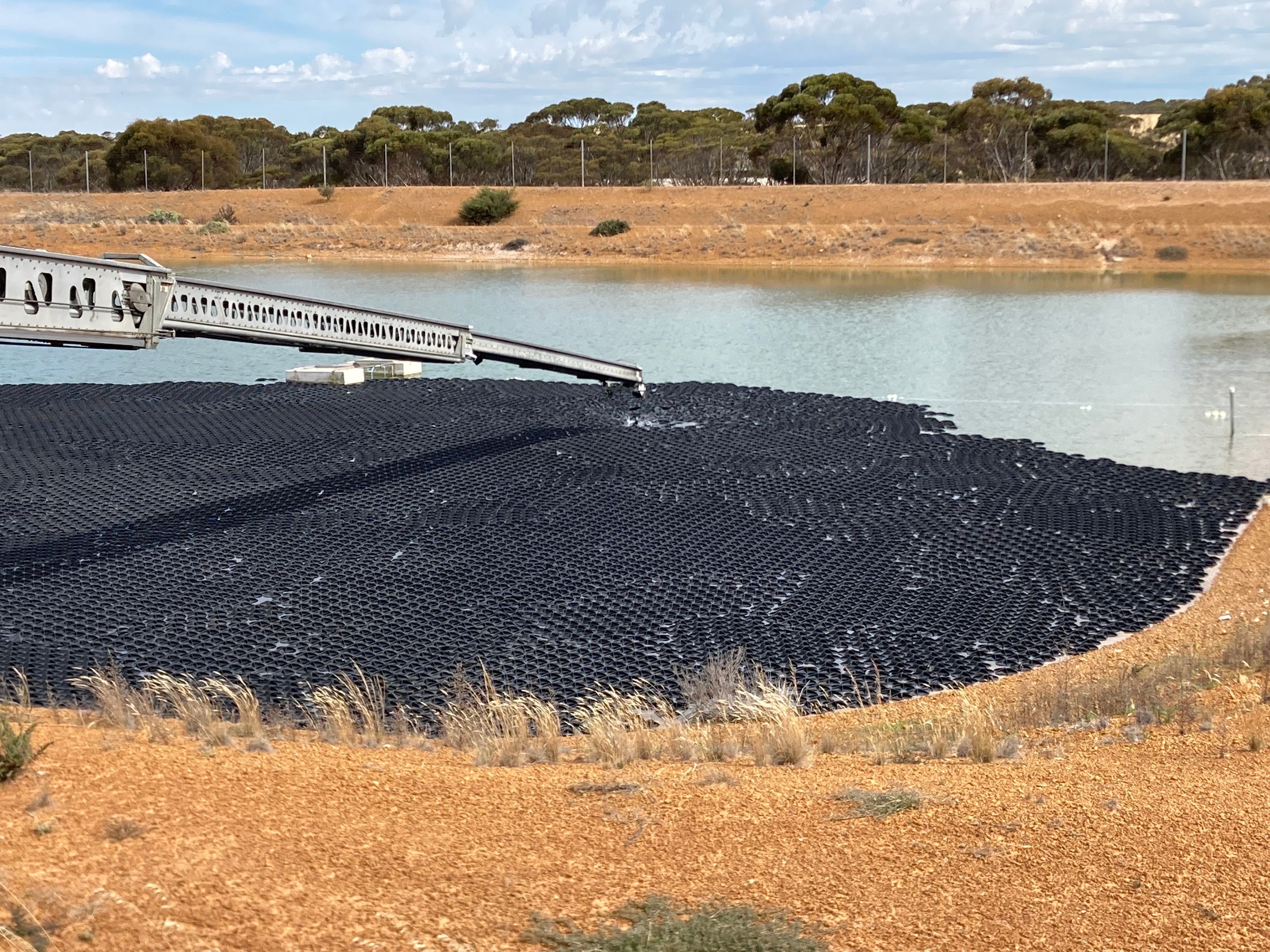 black discs floating in a dam 