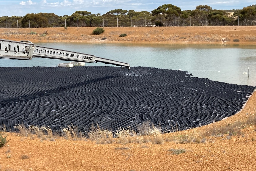 black discs floating in a dam 
