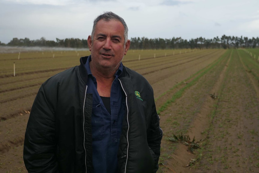 A farmer with grey hair stands in a paddock posing for a photo wearing a black bomber jacket and blue shirt.