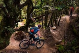 Riders on a mountain bike trail through a forest.