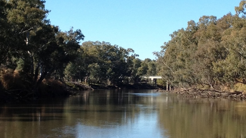 New water trading rules have been released by the Murray-Darling Basin Authority