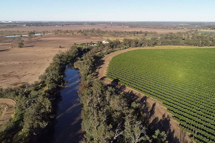Minister rules out farmer water buybacks, creates new Murray-Darling Basin office - ABC News
