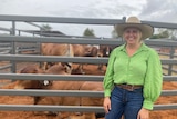 Ooline M Brahmans stud founder Megan Kent stands in front of a pen at a cattle sale, cattle are visible in the pen