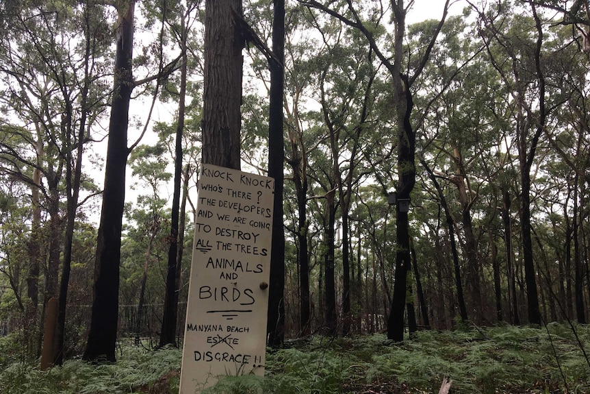 A sign nailed to a tree in a forest protesting a development that would see the land cleared.