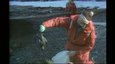 The legacy of Exxon Valdez oil spill - ABC News