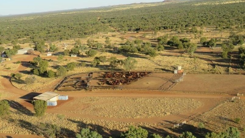 Aerial view of a pastoral property with cattle.
