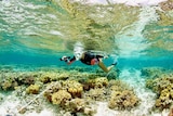 Kay Davis at One Tree Island near Gladstone