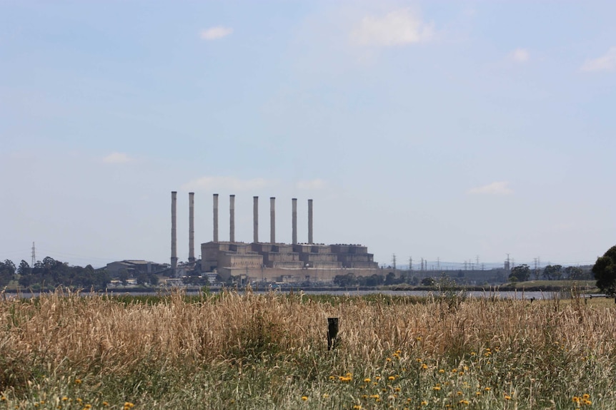 The Hazelwood power station.