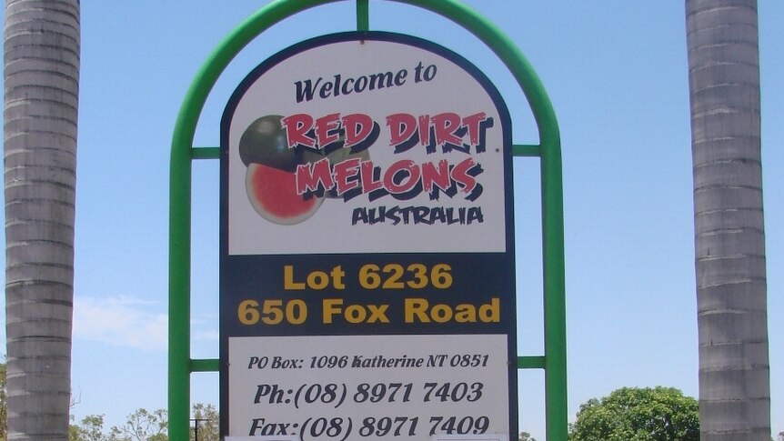 a sign for Red Dirt Melons flanked by two palm trees
