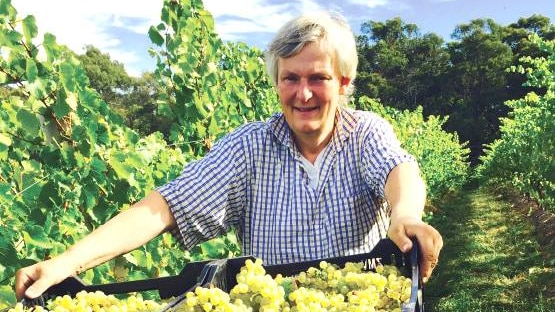 Adelaide Hills winemaker James Tilbrook in a vineyard with crates of grapes.