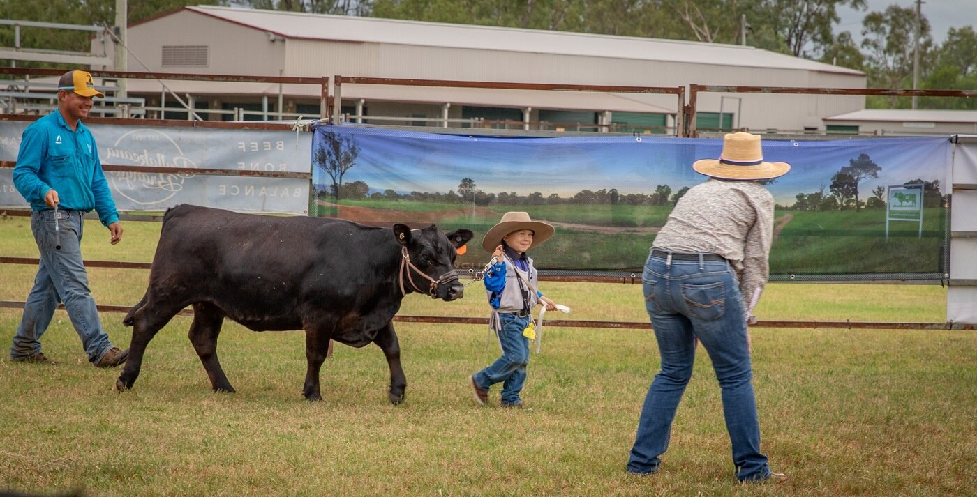 Brangus Youth Camp prepares young cattle handlers for…