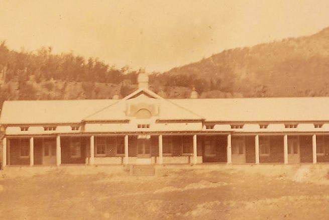 A old image in sepia style of a large building in front of forestry