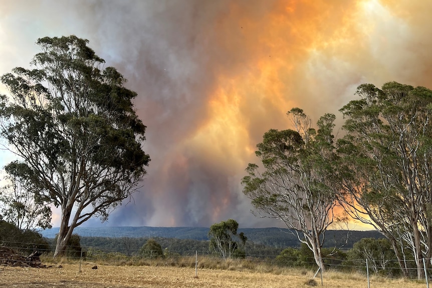 A large fire burns in the distance.