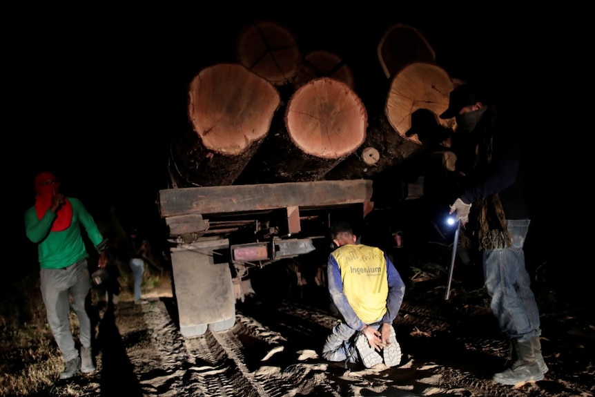 A man kneels in the dirt with his hands tied as two men guard him. The is a truck holding a number of logs.