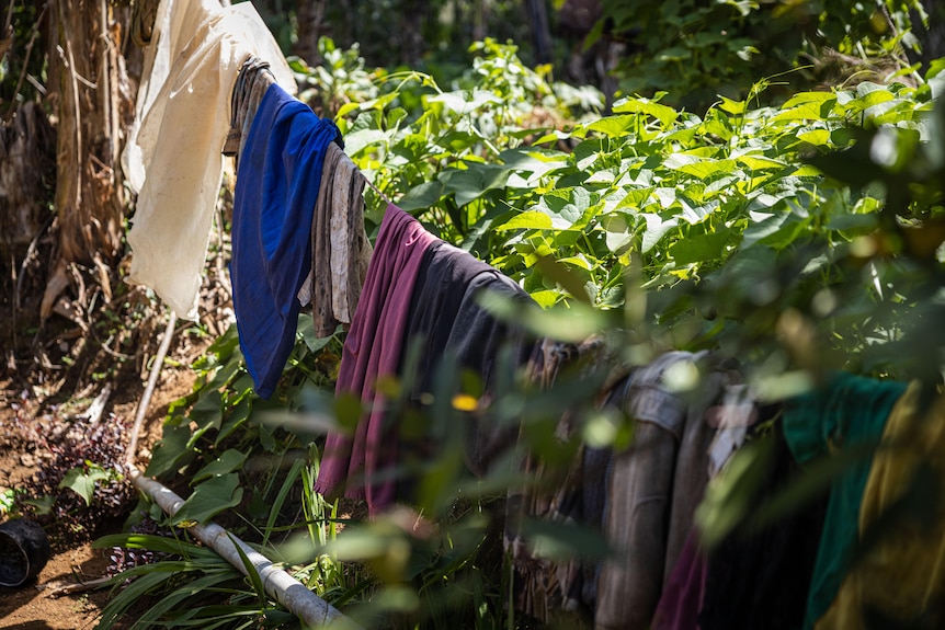 A close up of a clothing line with tops and fabric hanging on it in a garden.