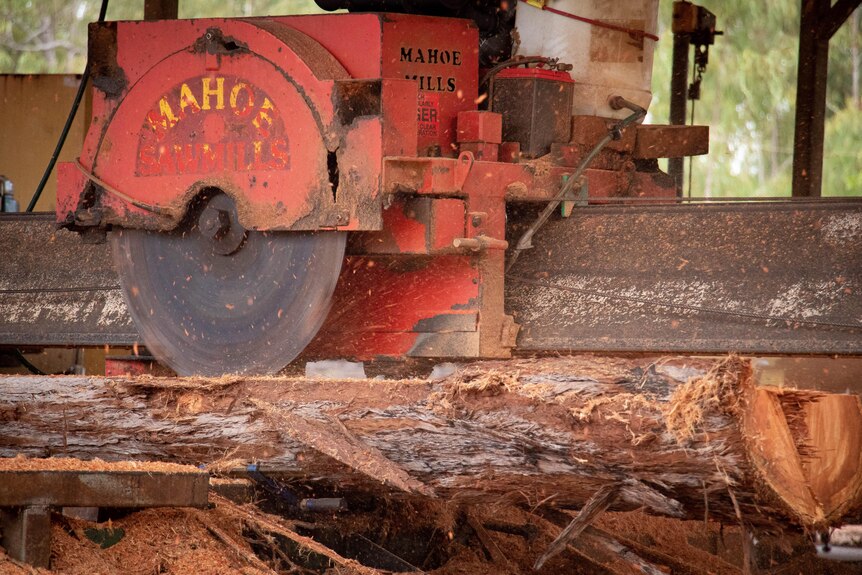 An up-close shot of a large electric saw cutting a piece of timber