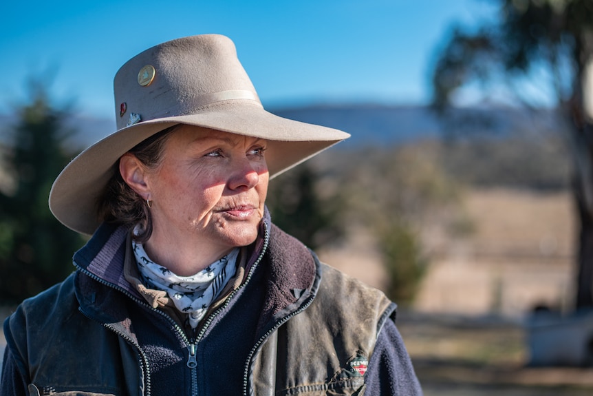 A woman wearing a white, broad-rimmed hat stares out into the distance, blue sky and mountains behind her.