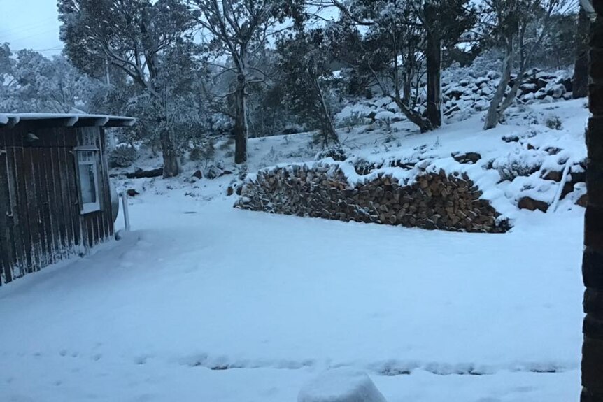 Snow on a woodpile at Miena.