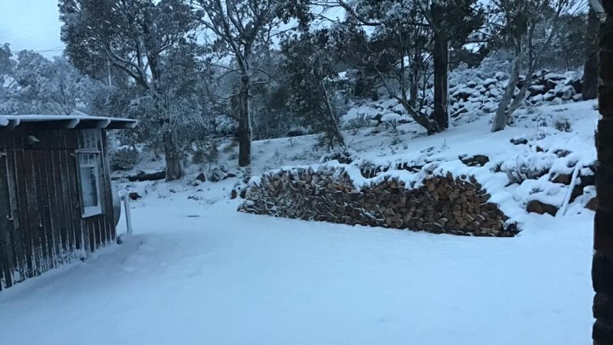 Snow on a woodpile at Miena.