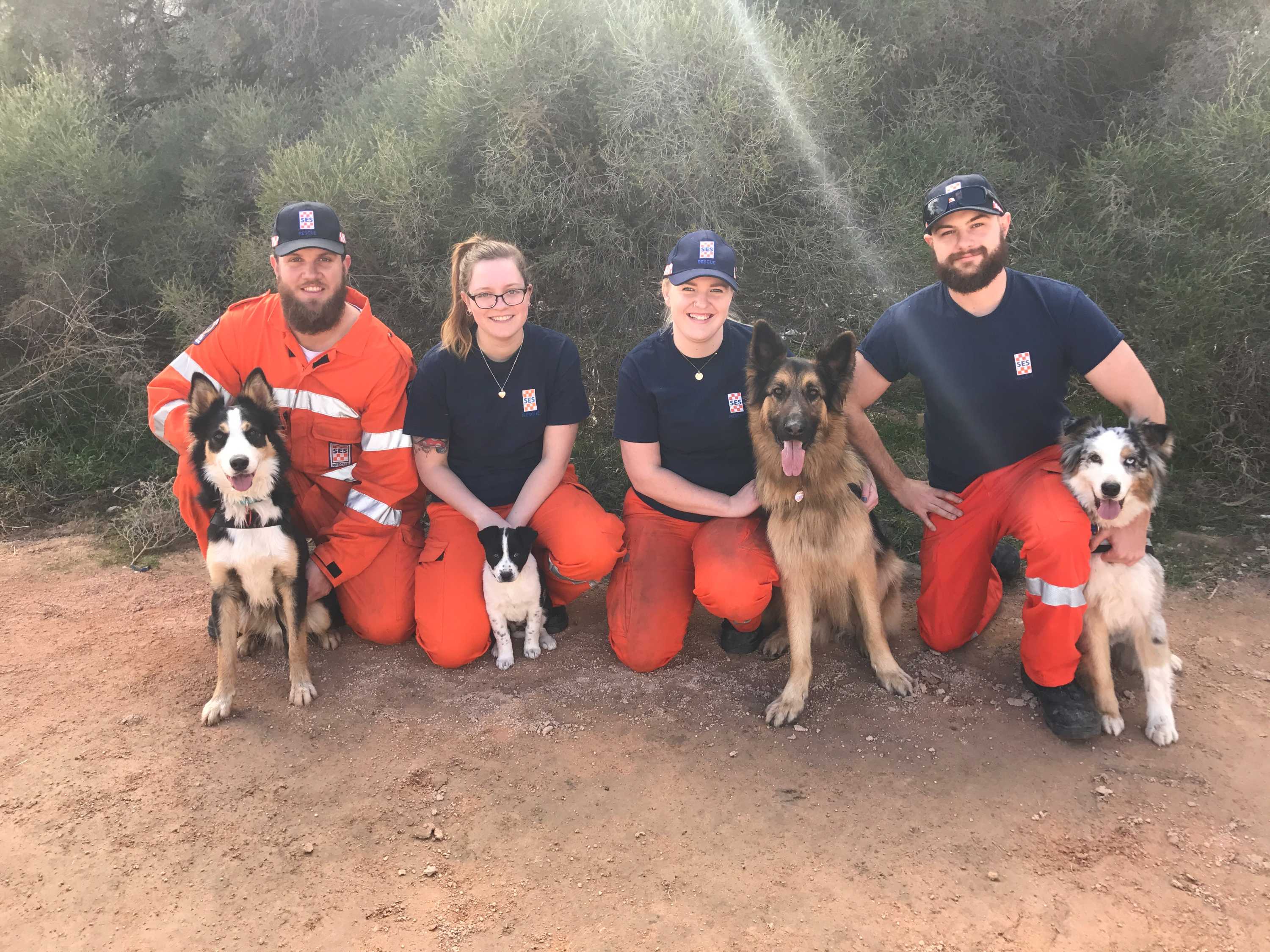 SES dog rescue team sniffs out new regional South Australian recruits ...