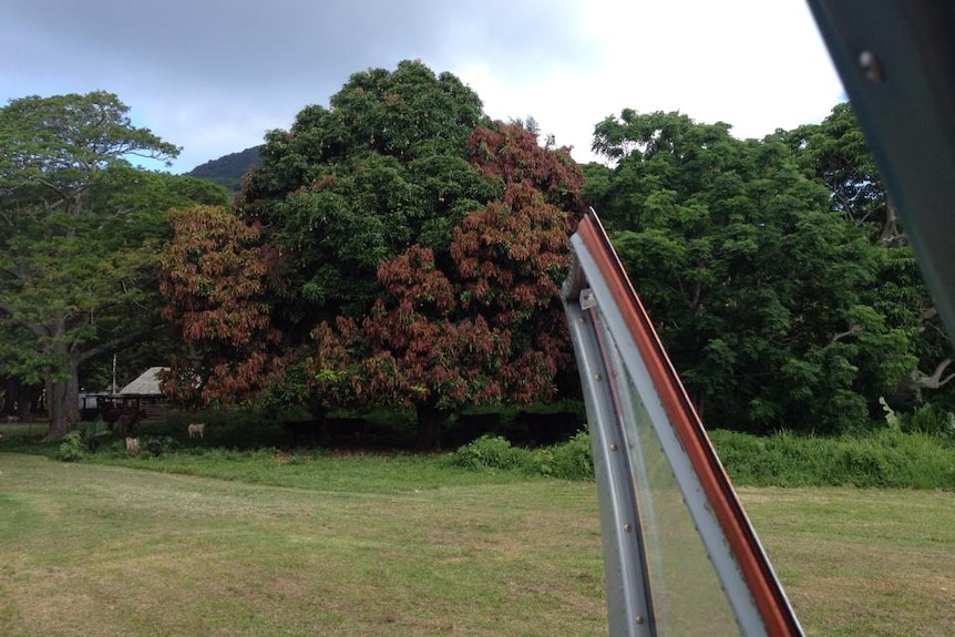 Emae airport before Cyclone Pam