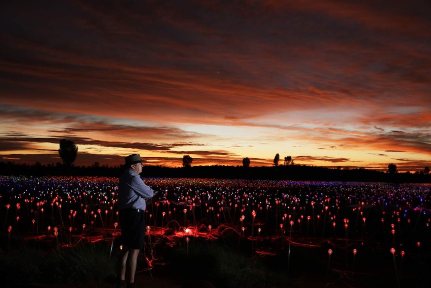 Bruce Munro at Field of Light Uluru