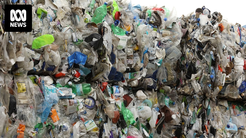 La taxe sur l’exportation des déchets sera supprimée dans le budget fédéral après des avertissements selon lesquels une « taxe de recyclage » enverrait davantage de déchets à la décharge