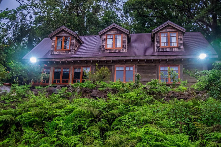 An old wooden cottage with lights on surrounded by lush green rainforest
