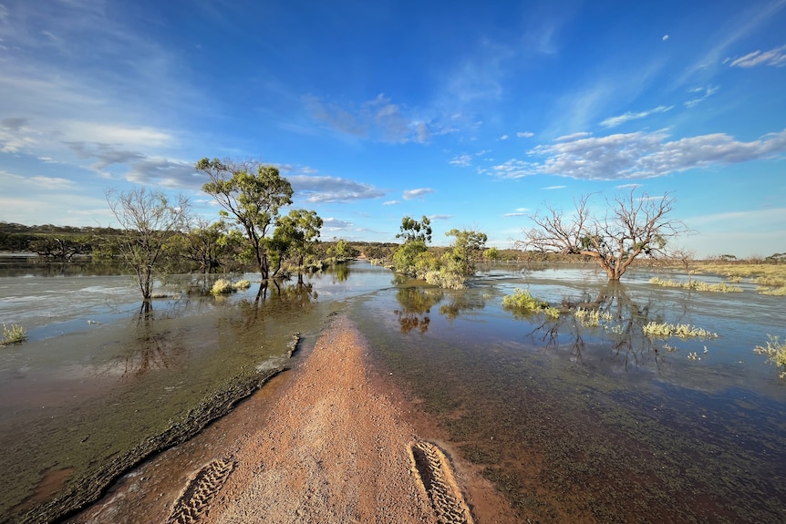 Green trees, blue skies, floodwaters filling floodplains, and a dirt road with car tracks.