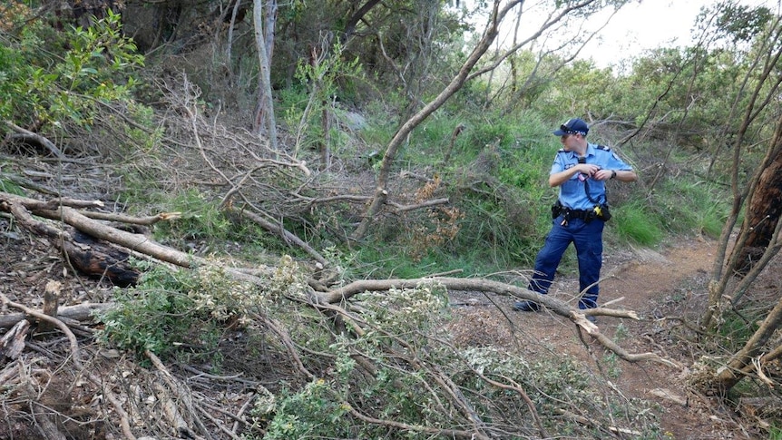 A policeman stands on a dirt mountain bike trail, looking at a number of trees placed across the pathway.