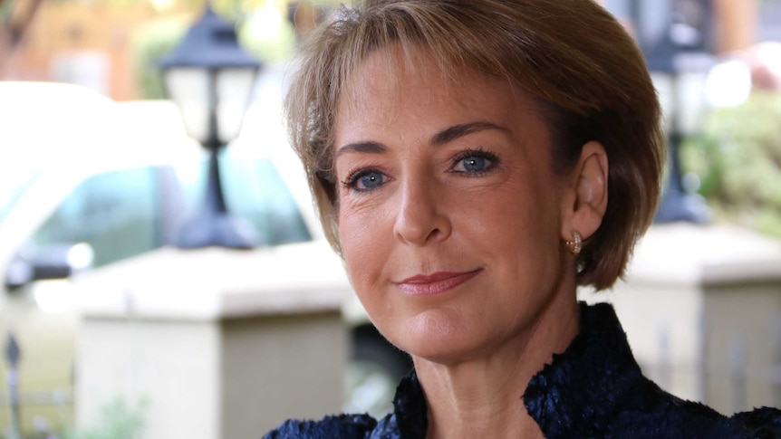 A close up head and shoulders shot of Minister for Employment and Women Michaelia Cash speaking outdoors.