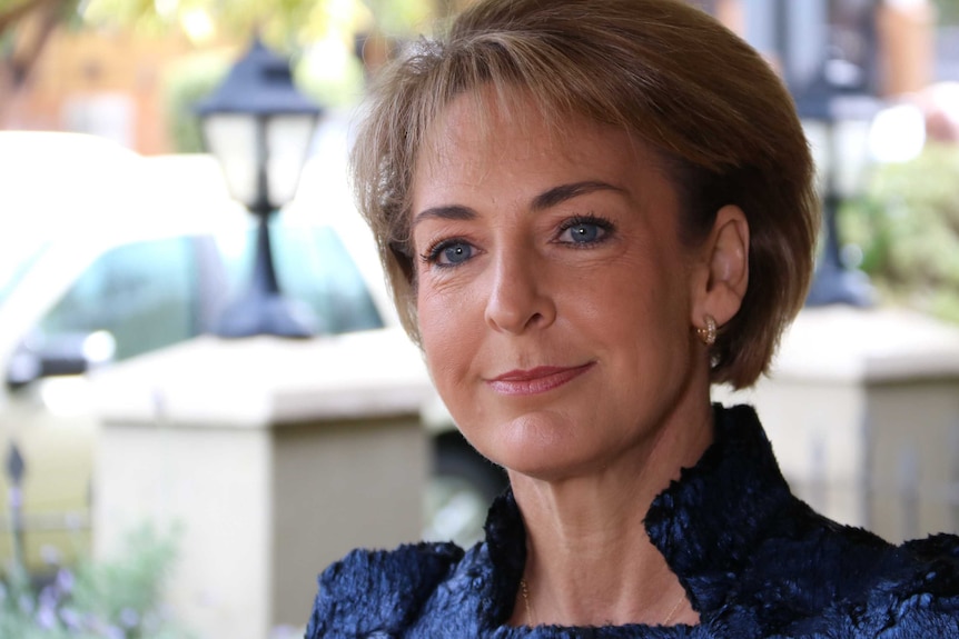 A close up head and shoulders shot of Minister for Employment and Women Michaelia Cash speaking outdoors.