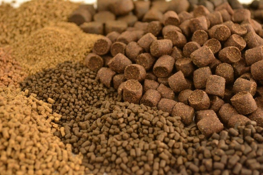 Close up of feed pellets