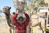 Working with camels