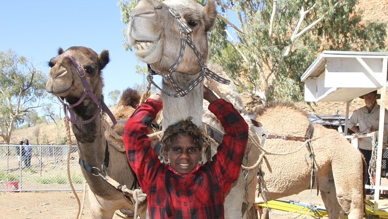 Working with camels