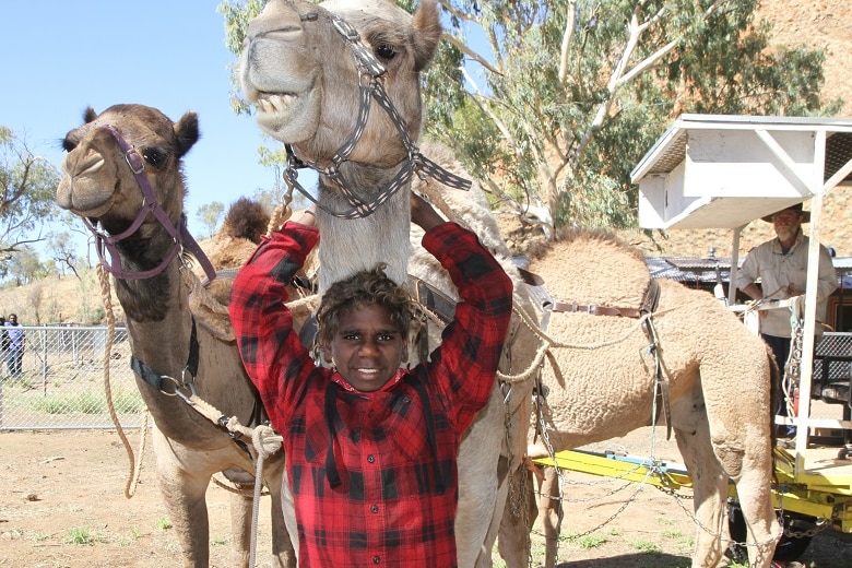 Working with camels