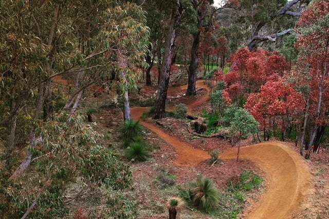 Australian bushland with a dirt access trail carved through.