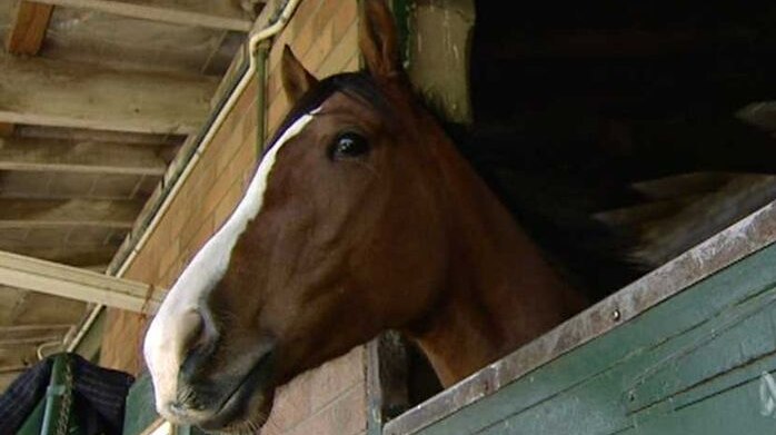 Trackwork begins again: But horses remain in lockdown across Australia