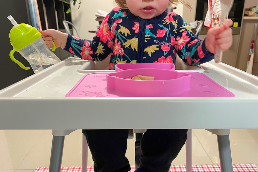 Toddler with a pink plate sitting in a highchair.