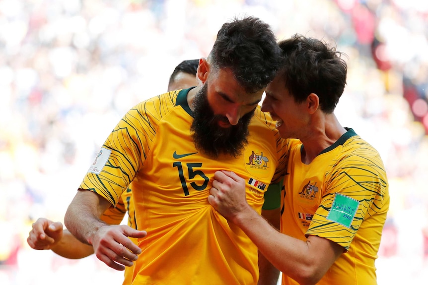 The Socceroos will hope to benefit from the increased interest in football via the World Cup.