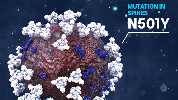 An illustration shows the mutation spike proteins.