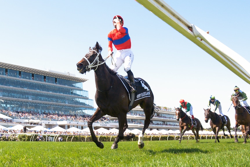 An emotional jockey puts his hands  over his face as he crosses the line in the Melbourne Cup, with horses chasing behind. 