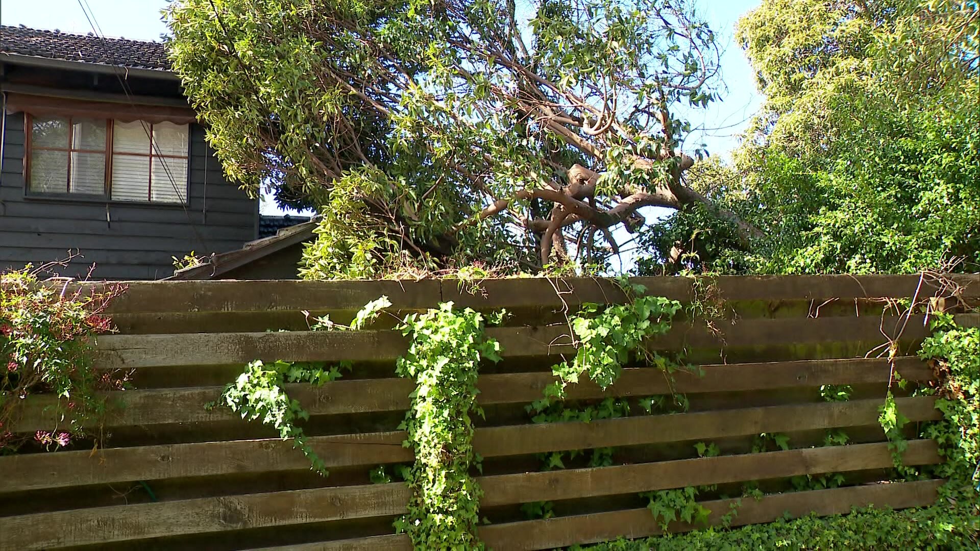 A fallen tree on top of a house in Ringwood East
