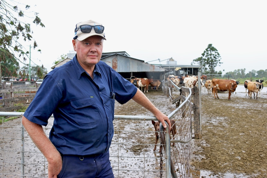A man in a blue work shirt stands in a muddy field with cows and dairy sheds in the background.