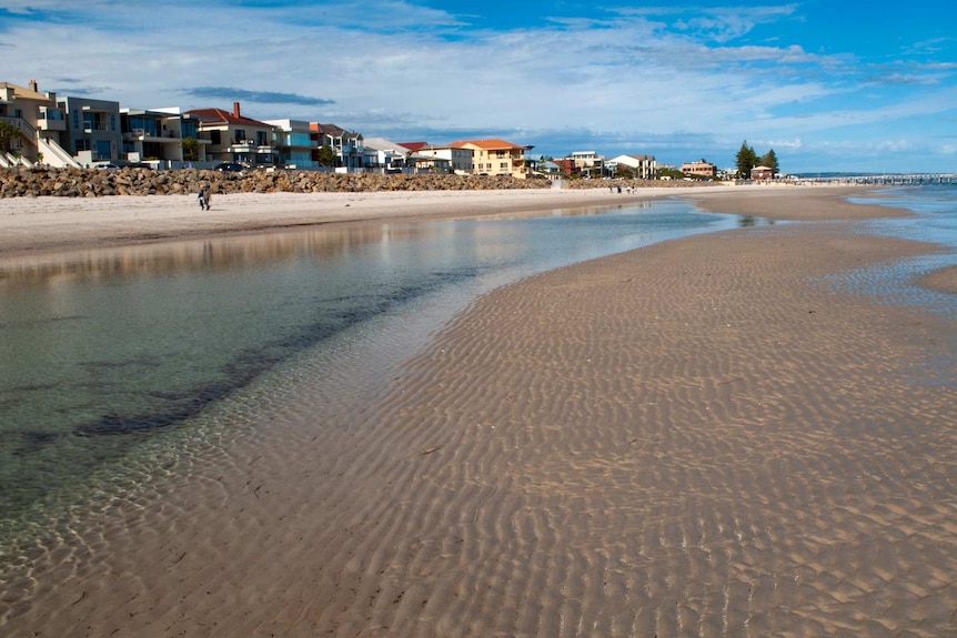 A glorious-looking beach fringed with houses, beneath a stunning blue sky.