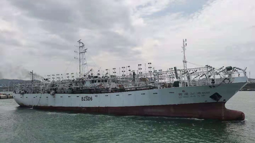 A large white fishing ship with a red hull sits in a calm green sea under grey sky.