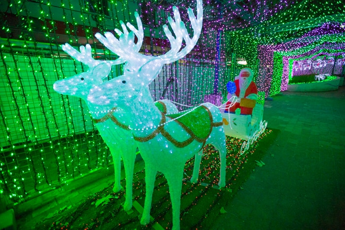 A Santa Claus and reindeer display from Christmas Lights in the City 2014.